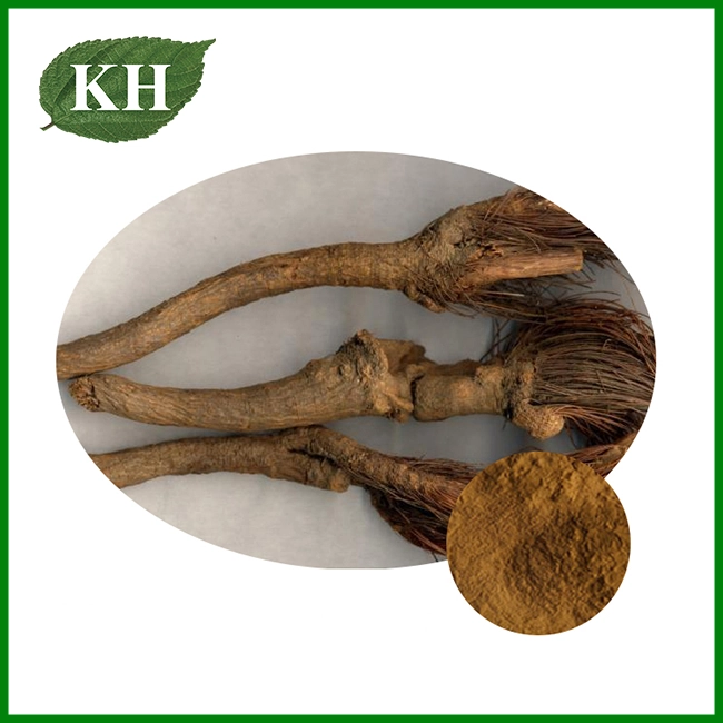 Maral Root Extract — Active Ecdysterone